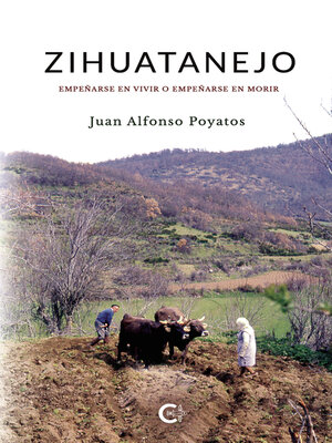 cover image of Zihuatanejo